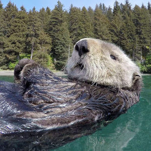 Meet your Posher, Bradley